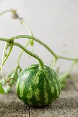 Waterelon, honey watermelon on wooden table background.