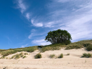 Beautiful dunes with seascape background, perfect surface of the sea