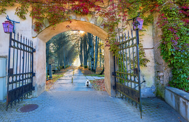 Autumnal sunrise in old abandoned park. Ancient arch with ivy, street lamps, metallic fence, narrow...