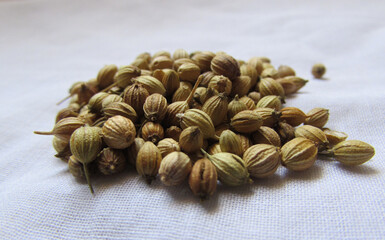 seed pods