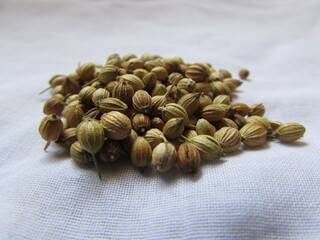 seeds on a wooden background