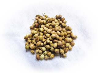 pine cones on a white background