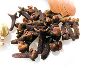 cloves on white background