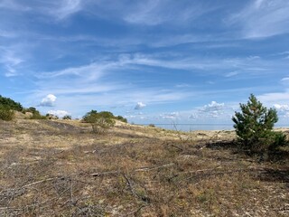 Beautiful dunes with seascape background, perfect surface of the sea