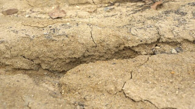 Cracks In The Ground After Rain