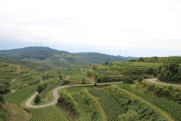 Fototapeta premium Texaspass in the Kaiserstuhl