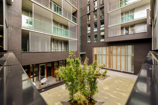 Backyard of modern residential house in city