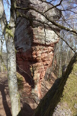 Massive red sandstone rock formation Altschloßfelsen near the German-French border, Eppenbrunn, Pfalz, Germany