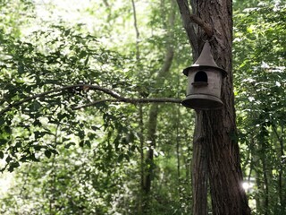 wooden bird house