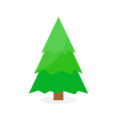 This is a Christmas tree isolated on a white background.