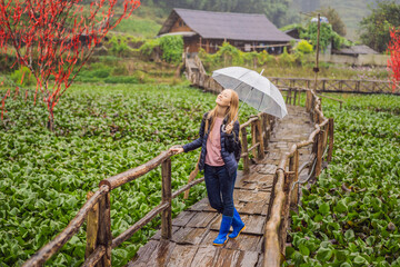 Woman tourist with umbrella in Sapa in the fog, Northwest Vietnam. Vietnam travel concept. UNESCO heritage. Vietnam opens to tourism after quarantine Coronovirus COVID 19