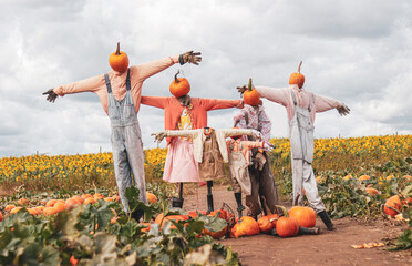 Spooky scarecrows pumpkins field