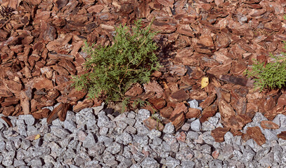 Fireplace rubble and tree bark are sprinkled. Landscape garden decoration.