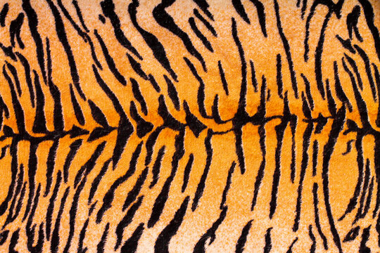fabric terry background resembling a tiger skin for the design of 2022