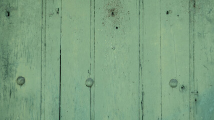 Fototapeta premium grüner Holz Hintergrund 