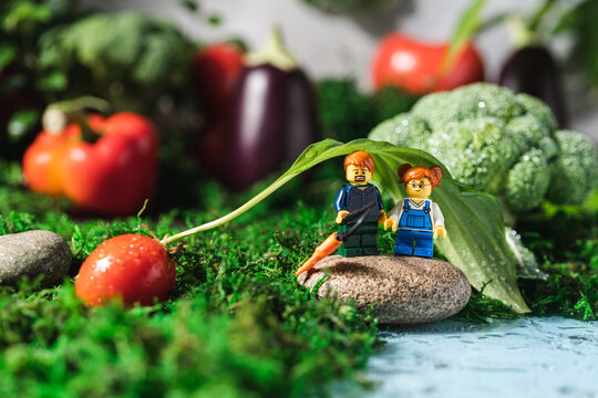 Moscow, September 27, 2021 Lego characters sitting and fishing on the shore of pond in fairy forest made of fresh vegetables and plants