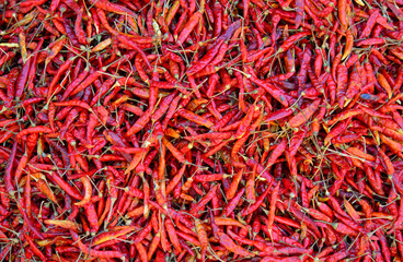 Naklejka premium Selling dried chili at rural market