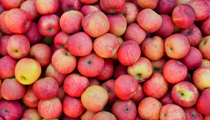 Selling apples at rural market in Myanmar