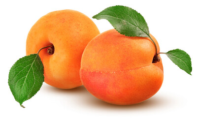 Apricots with leaves isolated on white background