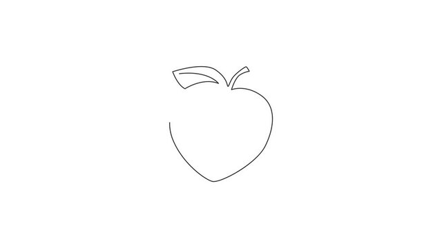 Animated self drawing of single continuous line draw whole healthy organic peach for orchard logo identity. Fresh fruitage concept for fruit garden icon. Full length one line animation illustration.