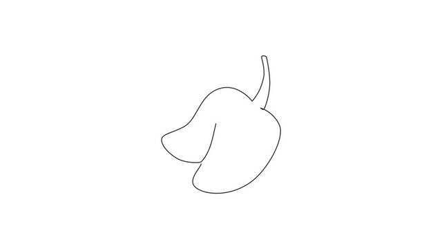 Animation of single one line drawing of healthy organic mangoes for orchard logo identity. Fresh tropical fruitage concept for fruit garden icon. Continuous line self draw animated. Full length motion