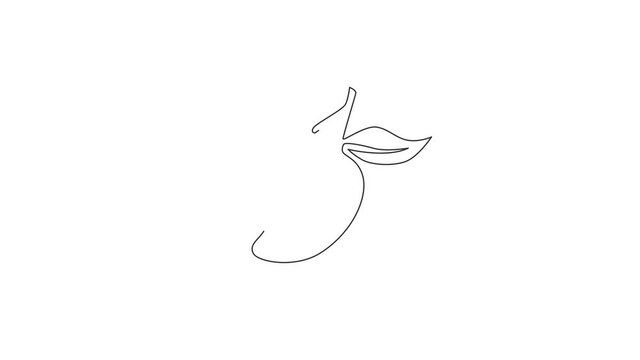Animation of single one line drawing of healthy organic mangoes for orchard logo identity. Fresh tropical fruitage concept for fruit garden icon. Continuous line self draw animated. Full length motion