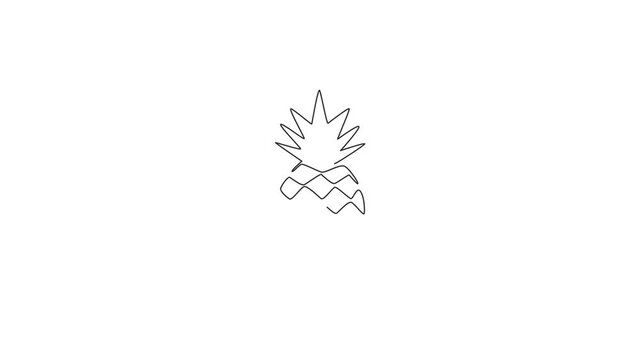 Animated self drawing of single continuous line draw whole healthy organic pineapple for orchard logo identity. Fresh summer fruitage concept for fruit garden icon. Full length one line animation.