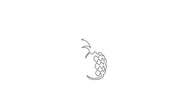 Animated self drawing of one continuous line draw whole healthy organic pineapple for orchard logo identity. Fresh summer fruitage concept for fruit garden icon. Full length single line animation.