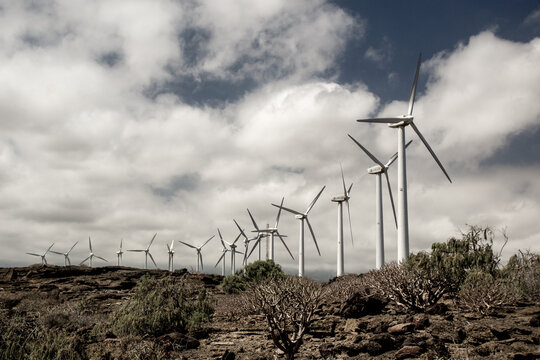 tenerife, canarias, isla