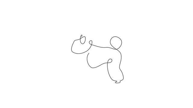 Animated self drawing of single continuous line draw adorable poodle dog for company logo identity. Purebred dog mascot concept for pedigree friendly pet icon. Full length one line animation.