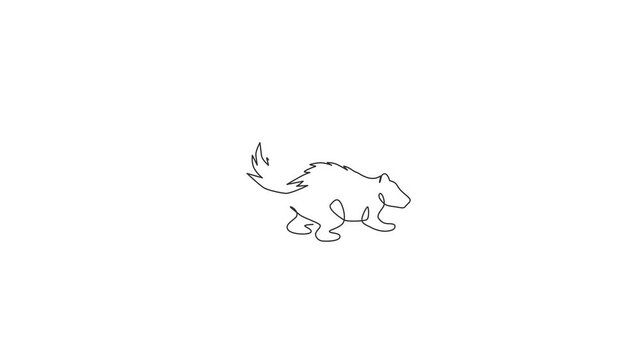 Animation of one line drawing of adorable striped skunk for company logo. Sprayer liquid with stink smell animal mascot concept for zoo icon. Continuous line self draw animated. Full length motion.