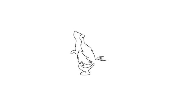 Animation of one single line drawing of standing funny skunk for company logo. Weasel animal mascot concept for national conservation park icon. Continuous line self draw animated. Full length motion.