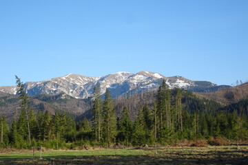 Obraz premium Beautiful landscape - Chocholowska Valley in Mountain - Poland