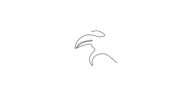 Animated self drawing of single continuous line draw beauty great hornbill head for company logo identity. Big beak bird mascot concept for national zoo icon. Full length one line animation.