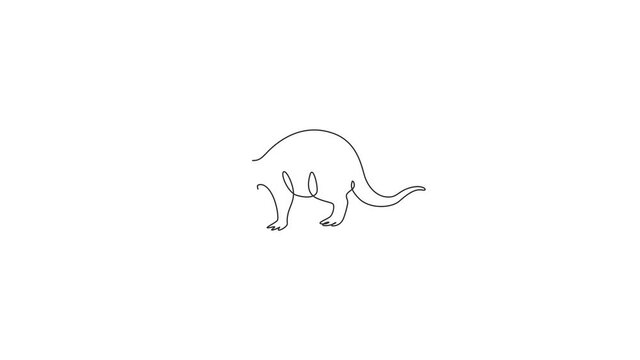 Animation of one single line drawing of exotic aardvark for company logo. Orycteropus animal mascot concept for national conservation park icon. Continuous line self draw animated. Full length motion.