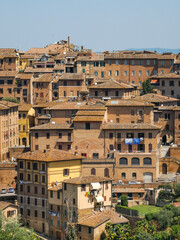 Fototapeta na wymiar Cityscape of the old town of Siena a wonderful place in Tuscany, Italy with its old medieval little building and red roofs seen from Orto dei Tolomei