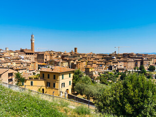 Obraz premium Cityscape of the old town of Siena a wonderful place in Tuscany, Italy with its old medieval little building and red roofs seen from Orto dei Tolomei