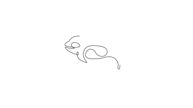 Animation of one single line drawing of big cute orca for company logo identity. Orcinus whale mascot concept for national aquatic zoo icon. Continuous line self draw animated. Full length motion.