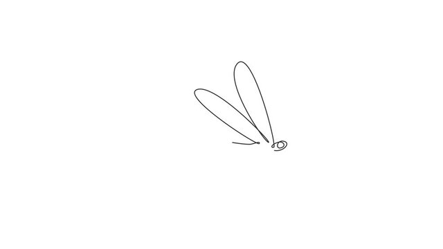 Animation of one single line drawing of cute dragonfly for company logo identity. Odonata animal mascot concept for insect lover club icon. Continuous line self draw animated. Full length motion.