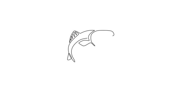 Animated self drawing of one continuous line draw big salmon for fishing logo identity. Fish mascot concept for fast food can icon. Full length single line animation illustration.