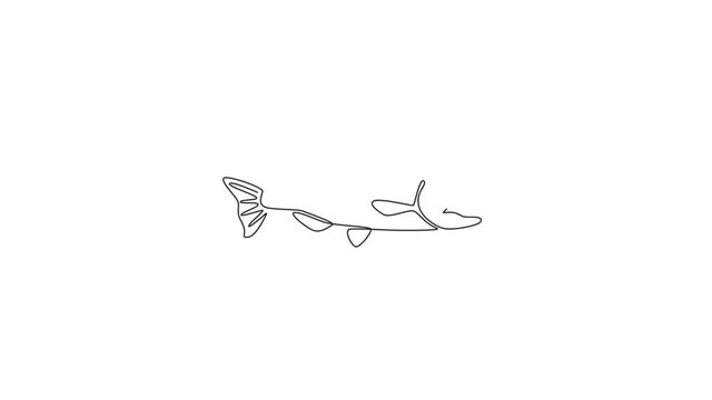 Animated self drawing of single continuous line draw large salmon for fresh meat company logo identity. River fish mascot concept for fast food can icon. Full length one line animation illustration.