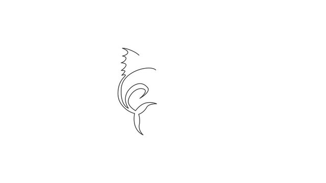 Animated self drawing of single continuous line draw large marlin for marine company logo. Jumping swordfish mascot concept for fishing tournament icon. Full length one line animation illustration.