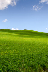 landscapes in the countryside of Tuscany in Italy