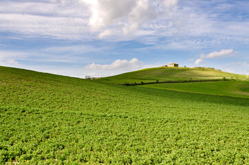 Fototapeta na wymiar landscapes in the countryside of Tuscany in Italy