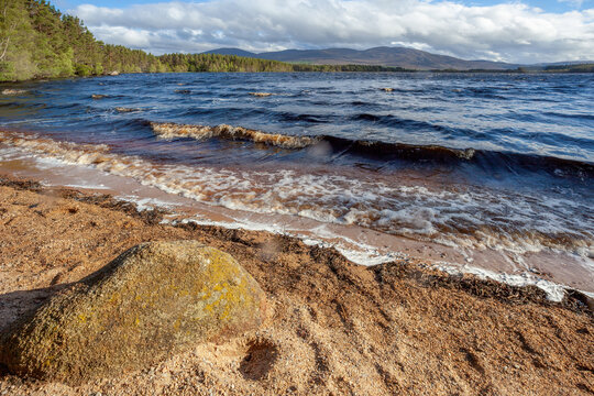 Choppy Water On Loch Garten In Scotland