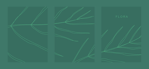 Palm leaf vector. Palm leaf flyer design. Organic cover design vector. Editable vector.