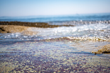 Tide refreshing pools at the oceanfront of Wonderland Trail Acadia National Park