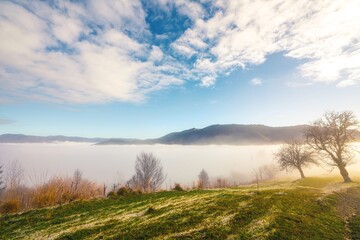 Fototapeta na wymiar Frozen grass against the backdrop of a beautiful sky and fluffy fog