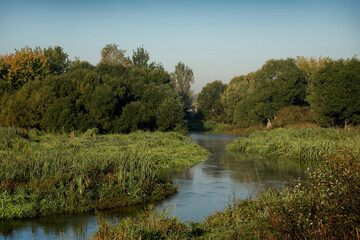 autumn landscape with river