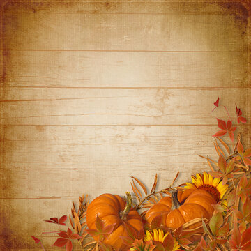 Festive autumn decor from pumpkins, sunflower and fall leaves. Thanksgiving or Halloween card